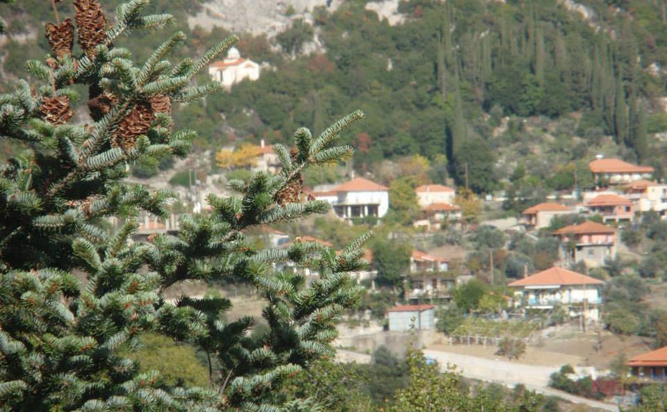 Καθαρά Δευτέρα στον Λογκανίκο