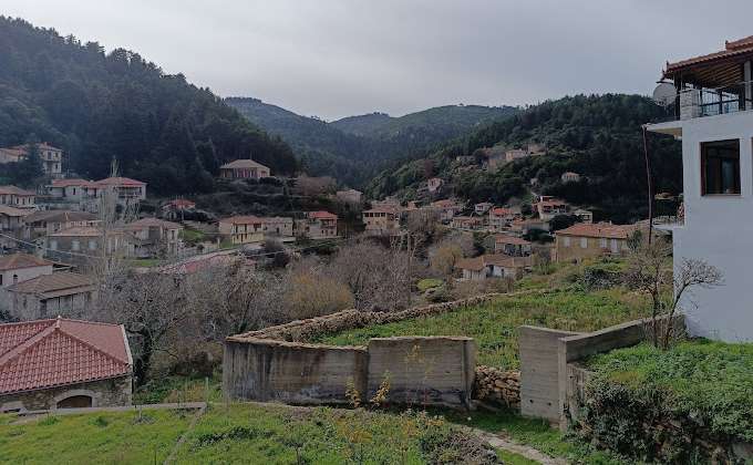 Πολύδροσο (Τσίντζινα)