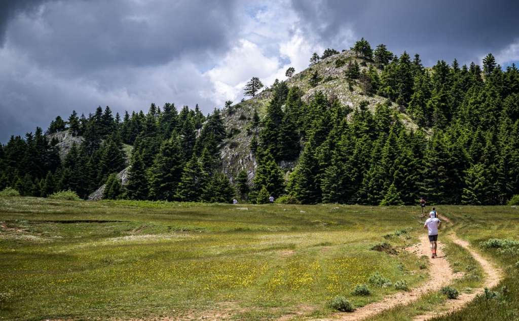 Vamvakou Revival-5ος Vamvakou Mountain Run-29χλμ/Υ+1353μ.
