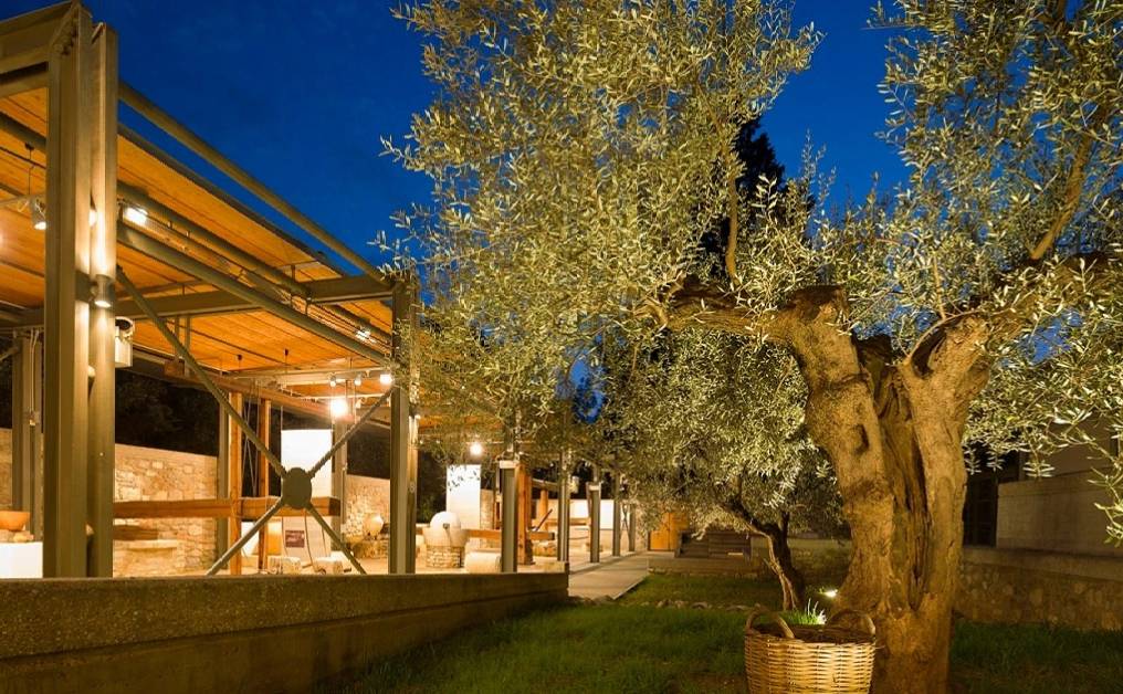 Museum of Olives and Greek Olive Oil-Phaedra