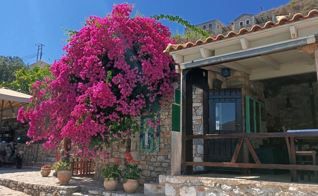 Το Μαγαζάκι της Θοδώρας - Εστιατόριο