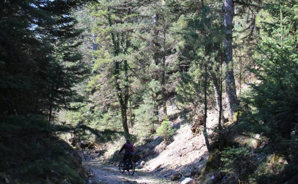 Vamvakou Revival-Exploring Parnon’s nature by bike