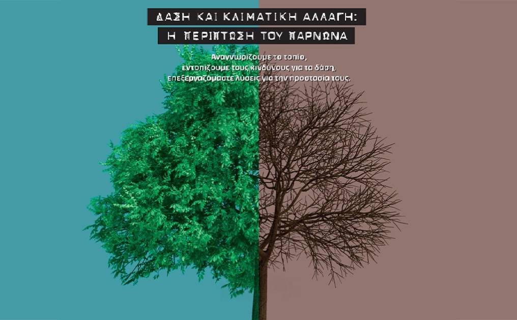 Μουσείο Ελιάς και Ελληνικού Λαδιού-Δάση και κλιματική αλλαγή: Η περίπτωση του Πάρνωνα