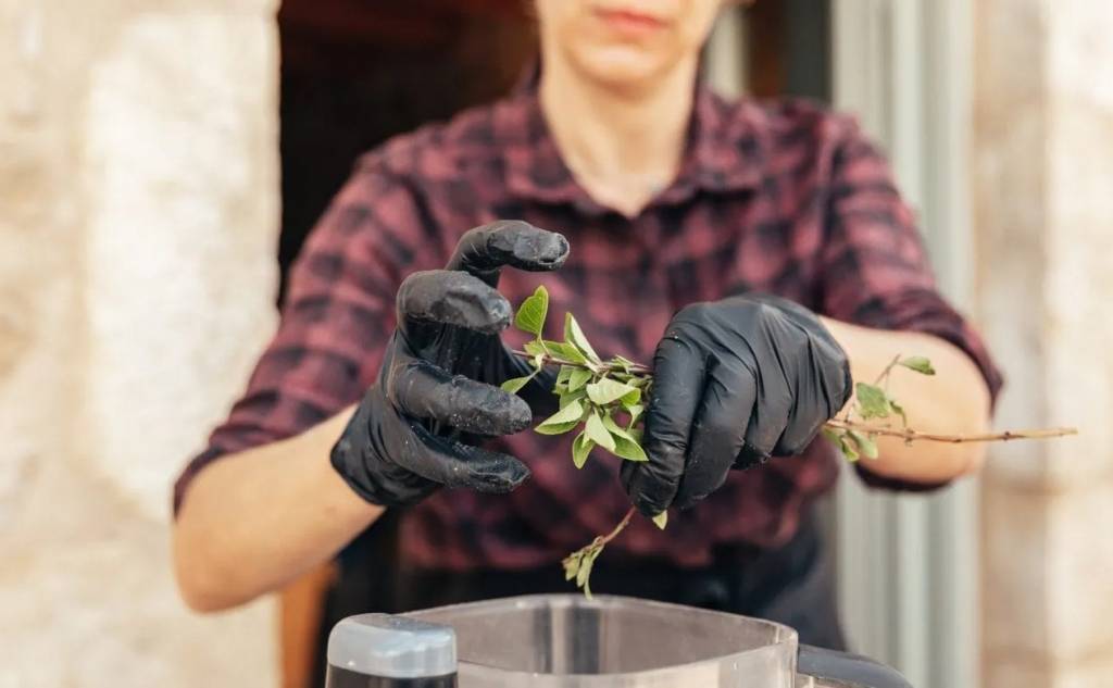 Vamvakou Revival-Γαστρονομικό εργαστήρι για επίδοξους σεφ