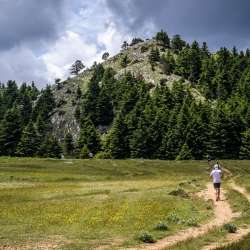 Vamvakou Revival-5ος Vamvakou Mountain Run-29χλμ/Υ+1353μ.