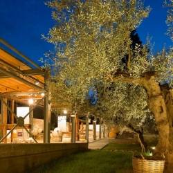 Museum of Olives and Greek Olive Oil-Phaedra