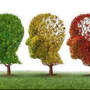 «Όταν η Μνήμη Αλλάζει…»: Ημερίδα για την Άνοια και το Alzheimer