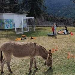 Vamvakou Revival-Eλεύθερο παιχνίδι για όλους