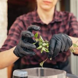 Vamvakou Revival-Γαστρονομικό εργαστήρι για επίδοξους σεφ