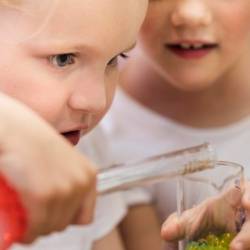 Vamvakou Revival-O ήχος του νερού