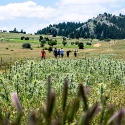 Vamvakou Revival-6ος Vamvakou Mountain Run: Αγώνας 19χλμ/Υ+800μ.