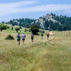 Vamvakou Revival-6ος Vamvakou Mountain Run: 29χλμ/Υ+1353μ.