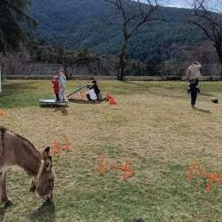 Vamvakou Revival-Σχολείο… αταξίας και χαράς: ο μήνας του καρυδιού!