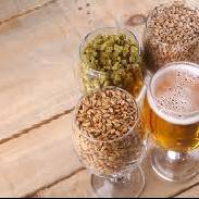 Vamvakou Revival-Craft your beer
